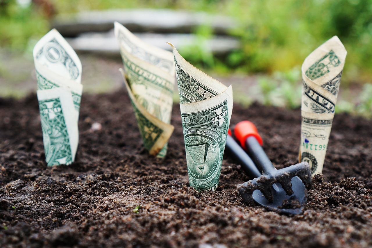 Investing in Land: A Comprehensive Guide to Building Wealth Through Real Estate